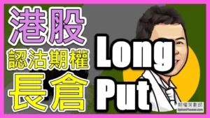 Long Put 港股認沽期權長倉