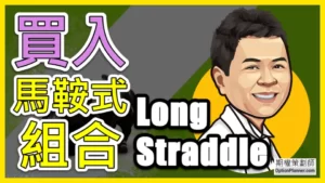 Long Straddle 買入馬鞍式組合