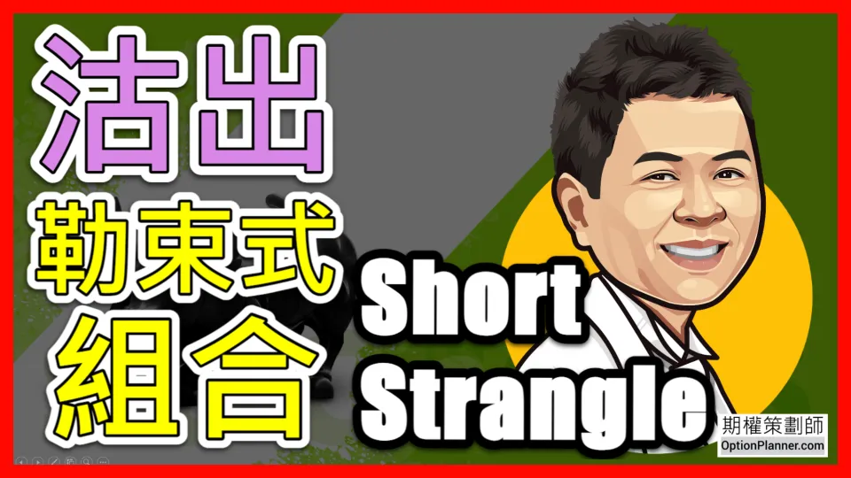 Short Strangle 沽出勒束式組合 - 期權策劃師 - AI 導航