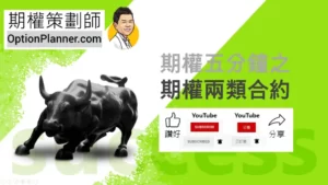 Option Contracts 期權兩類合約