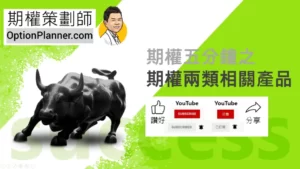 Underlying Product 期權兩類相關資產