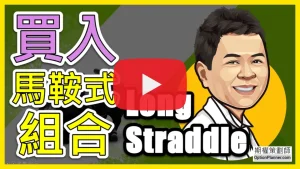 Long Straddle 買入馬鞍式組合