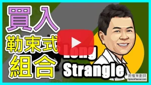 Long Strangle 買入勒束式組合