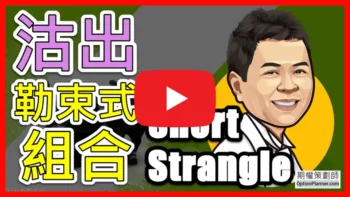 Short Strangle 沽出勒束式組合